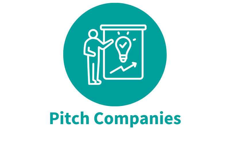 pitch company graphic icon